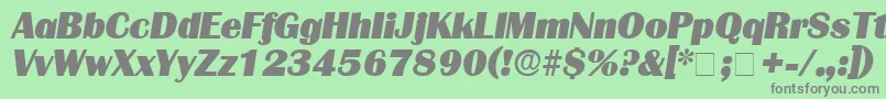 BurinDisplaySsiItalic Font – Gray Fonts on Green Background