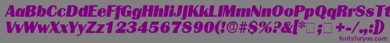 BurinDisplaySsiItalic Font – Purple Fonts on Gray Background