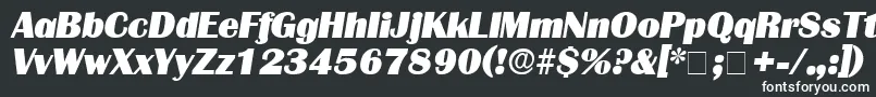 BurinDisplaySsiItalic Font – White Fonts