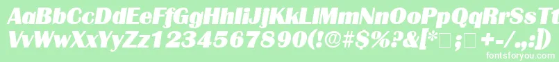 BurinDisplaySsiItalic Font – White Fonts on Green Background