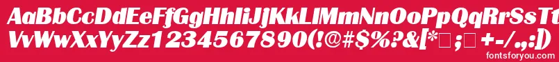 フォントBurinDisplaySsiItalic – 赤い背景に白い文字