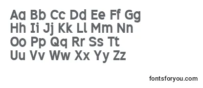 Review of the Excib Font