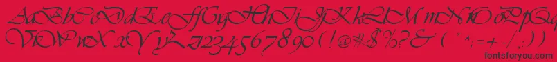 フォントLdsScriptItalic – 赤い背景に黒い文字