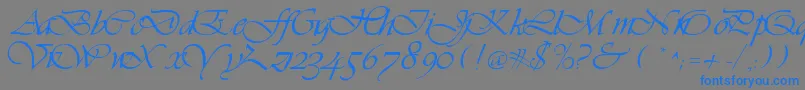 フォントLdsScriptItalic – 灰色の背景に青い文字