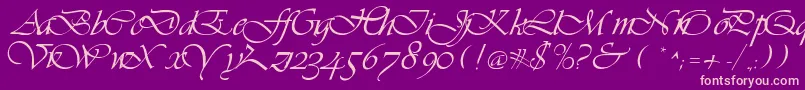 LdsScriptItalic Font – Pink Fonts on Purple Background