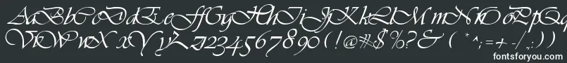 Шрифт LdsScriptItalic – белые шрифты на чёрном фоне