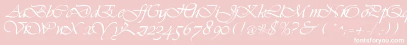 LdsScriptItalic-Schriftart – Weiße Schriften auf rosa Hintergrund