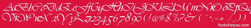 フォントLdsScriptItalic – 赤い背景に白い文字