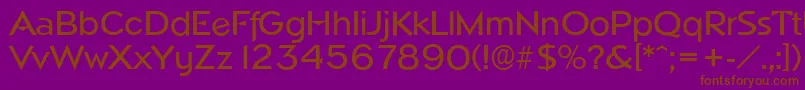 NapoliserialMediumRegular Font – Brown Fonts on Purple Background