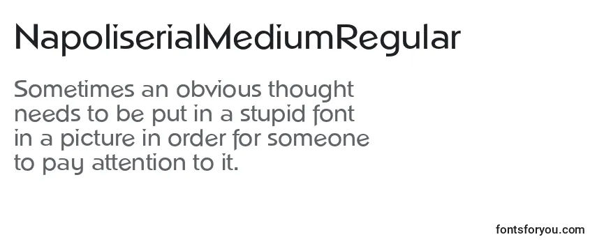 NapoliserialMediumRegular Font