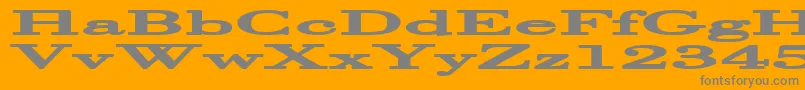 Halcyoni Font – Gray Fonts on Orange Background