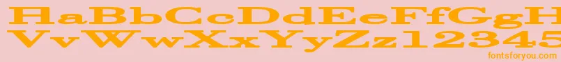 Halcyoni Font – Orange Fonts on Pink Background