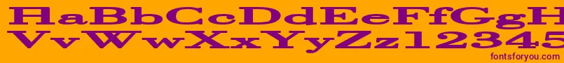 Halcyoni Font – Purple Fonts on Orange Background