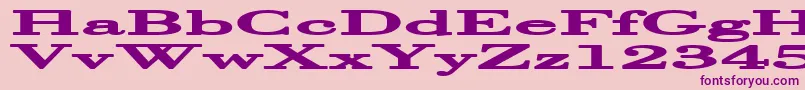 Halcyoni Font – Purple Fonts on Pink Background