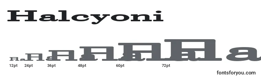 Размеры шрифта Halcyoni