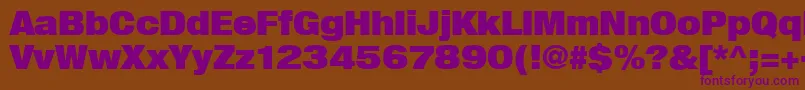 Шрифт Heavenetica9pUblksh – фиолетовые шрифты на коричневом фоне