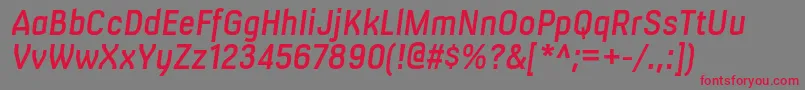 フォントMilibussbItalic – 赤い文字の灰色の背景