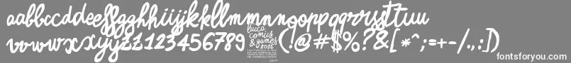 ZerocalcareScriptBold Font – White Fonts on Gray Background