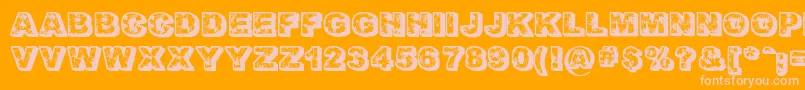 FloralDawn Font – Pink Fonts on Orange Background