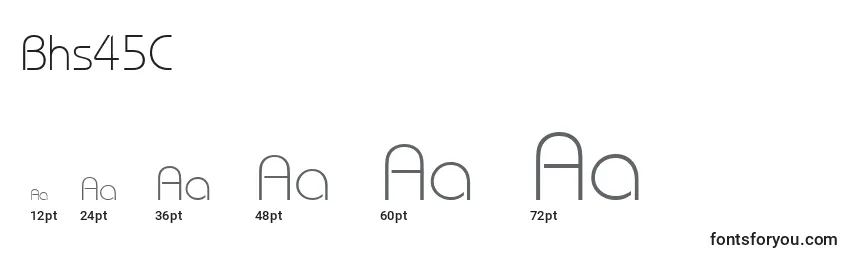 Bhs45C Font Sizes