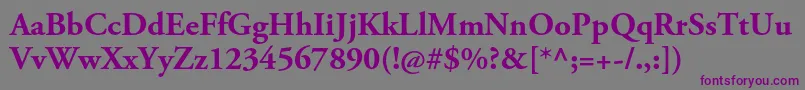AgaramondproBold Font – Purple Fonts on Gray Background