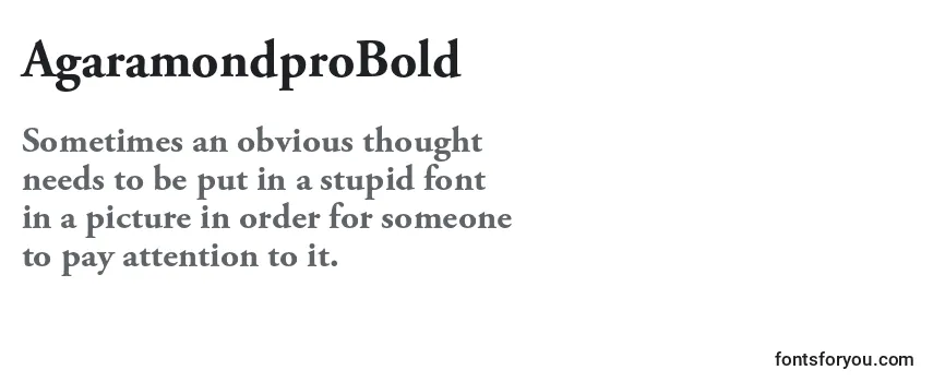 AgaramondproBold Font
