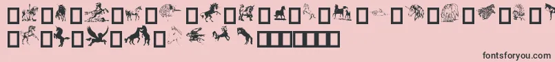 EquestrianByDarrian Font – Black Fonts on Pink Background