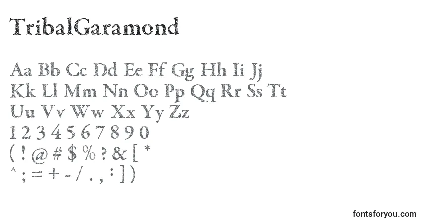 Шрифт TribalGaramond – алфавит, цифры, специальные символы