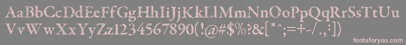 フォントTribalGaramond – 灰色の背景にピンクのフォント