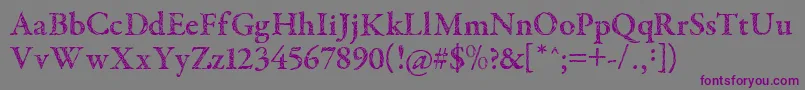 Шрифт TribalGaramond – фиолетовые шрифты на сером фоне
