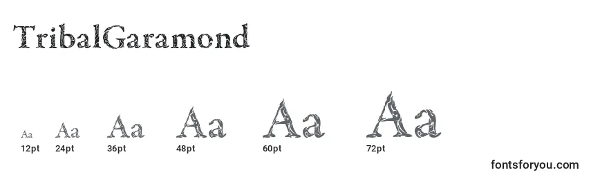 Размеры шрифта TribalGaramond