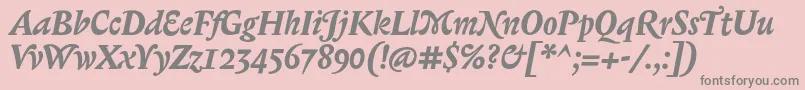 BiblonOtBoldItalic Font – Gray Fonts on Pink Background
