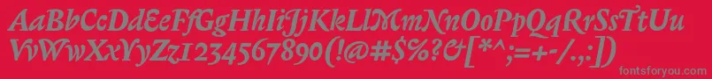 BiblonOtBoldItalic Font – Gray Fonts on Red Background