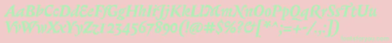 BiblonOtBoldItalic Font – Green Fonts on Pink Background