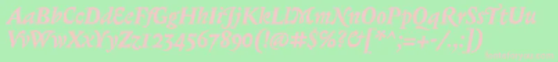 BiblonOtBoldItalic Font – Pink Fonts on Green Background