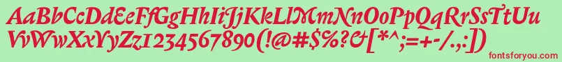 BiblonOtBoldItalic Font – Red Fonts on Green Background