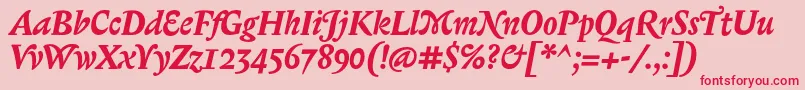 BiblonOtBoldItalic Font – Red Fonts on Pink Background