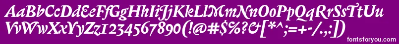 フォントBiblonOtBoldItalic – 紫の背景に白い文字