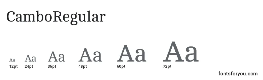 CamboRegular Font Sizes