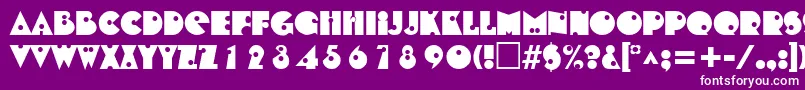 ShotgunRegular Font – White Fonts on Purple Background