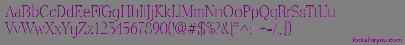 ToledolhRegular Font – Purple Fonts on Gray Background