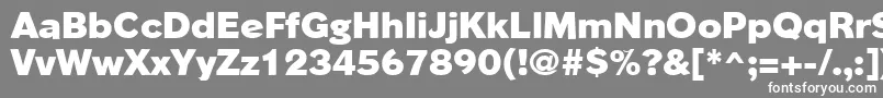 フォントPhinsterheavyRegular – 灰色の背景に白い文字