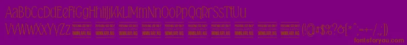 Falkinserifpersonal Font – Brown Fonts on Purple Background