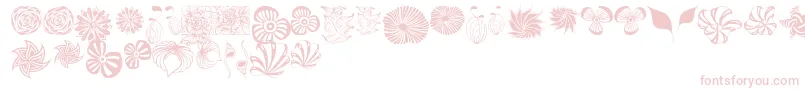 Dingfleur Font – Pink Fonts