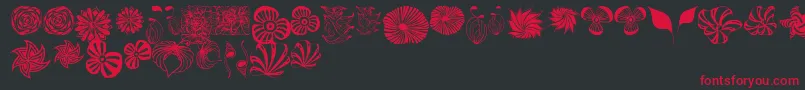 Dingfleur Font – Red Fonts on Black Background