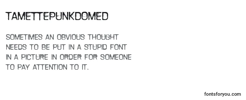 Review of the TamettePunkdomed Font