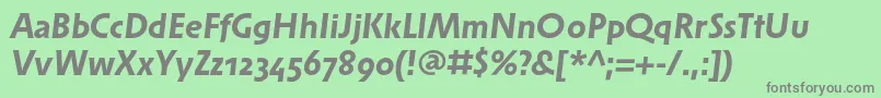SolperaosfBolditalic Font – Gray Fonts on Green Background
