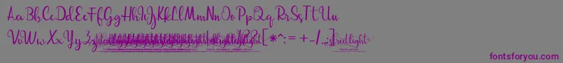03StreetlightDemoVersion Font – Purple Fonts on Gray Background