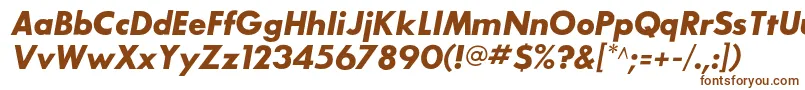 SansserifbldflfItalic Font – Brown Fonts