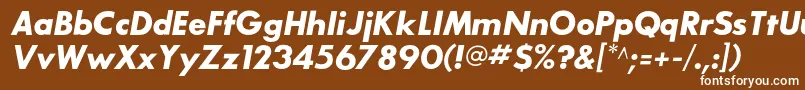 フォントSansserifbldflfItalic – 茶色の背景に白い文字